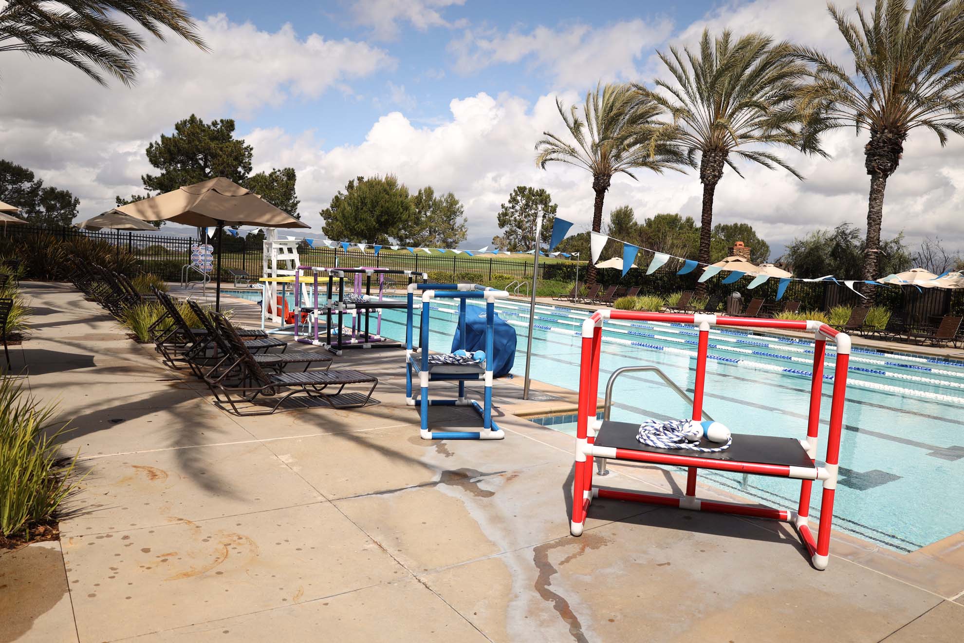 Evolution Swim Academy Aliso Viejo - See 2024 Schedules, Reviews & More